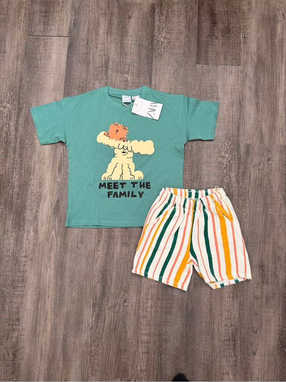 Zara New Green 'Meet The Family' Short Sleeve Tee with Zara Striped Shorts